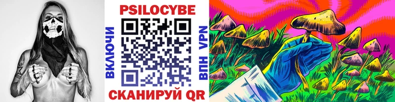 Псилоцибиновые грибы MAGIC MUSHROOMS OMG как войти Козьмодемьянск